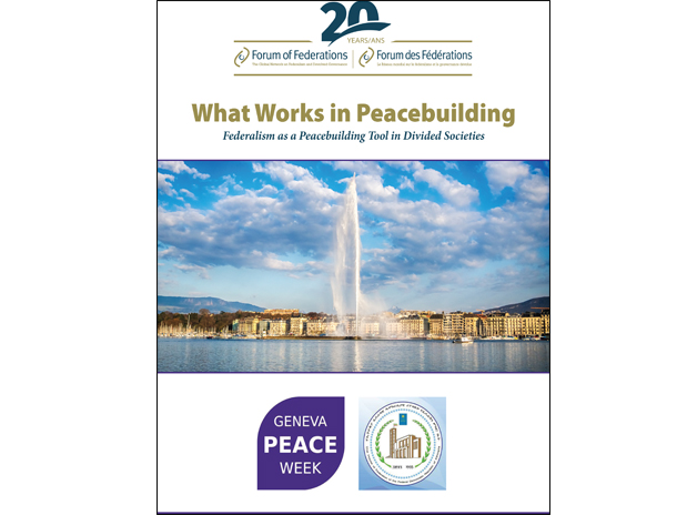 Cover of What Works in Peacebuilding