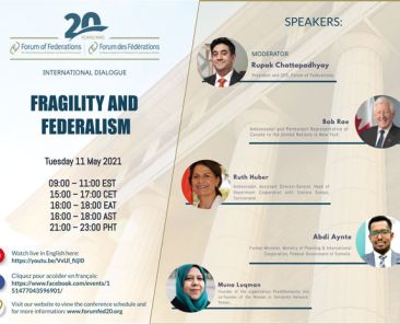 Program for International Dialogue on Fragility and Federalism